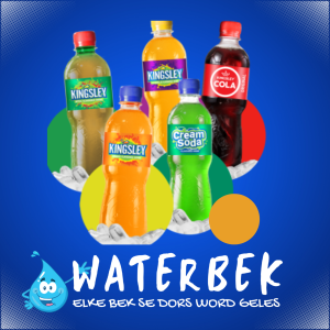 Kingsley Soft Drinks 500ml