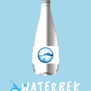 Branded Water 500ml