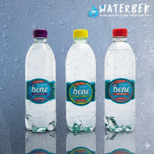 Bené Sugar Free Sparkling infused 500ml
